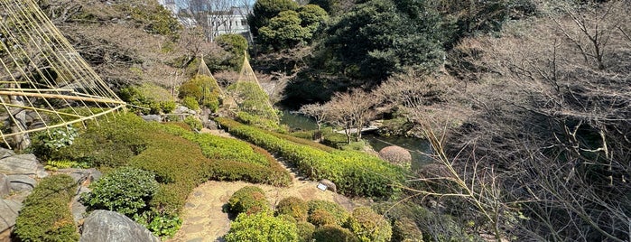 池田山公園 is one of TODO 23区.