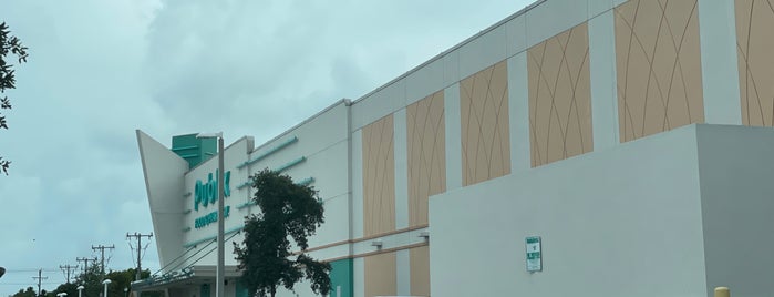 Publix is one of Lake Worth.