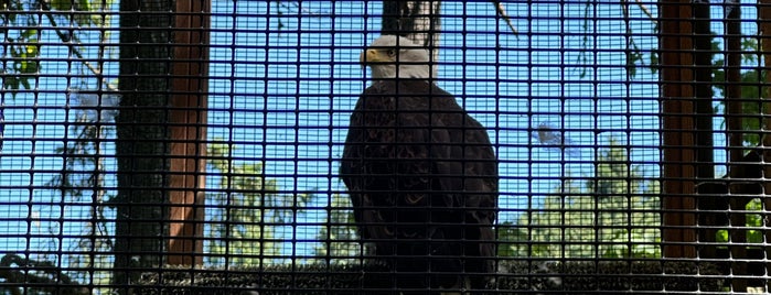Cascade Raptor Center is one of Places to Visit: Eugene-Springfield.