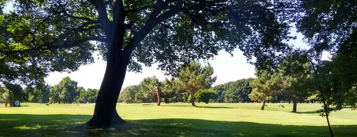 North Hagley Park is one of Go back to explore: New Zealand.