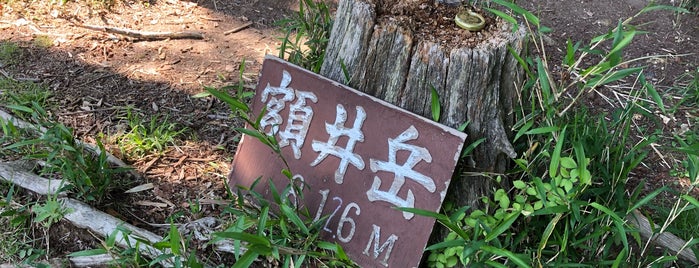 額井岳 is one of 近畿百名山.