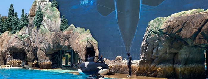 Orca Encounter is one of Lugares favoritos de Moheet.