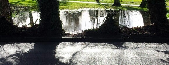 Bantock Park is one of Lugares favoritos de Elliott.