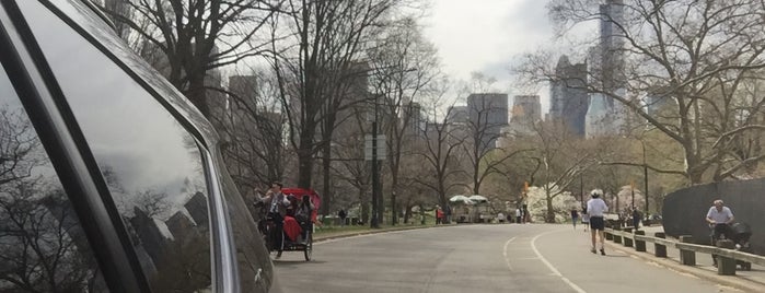 Central Park is one of New York.