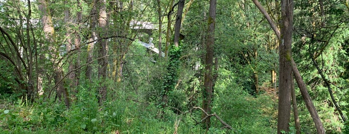 Cowen Park is one of Seattle Outdoors/Parks.