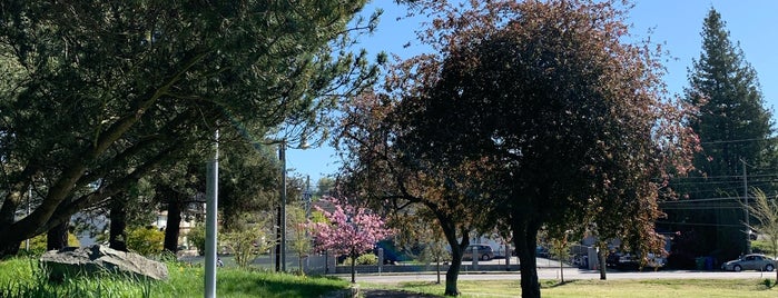 Van Asselt Playground is one of Seattle's 400+ Parks [Part 1].