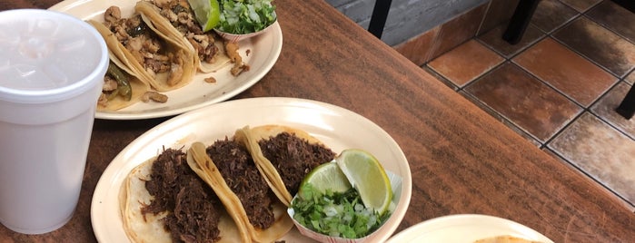 El Paisa Cocina Mexicana is one of The 15 Best Places for Tostadas in Dallas.