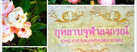 Attractions Chiang Mai
