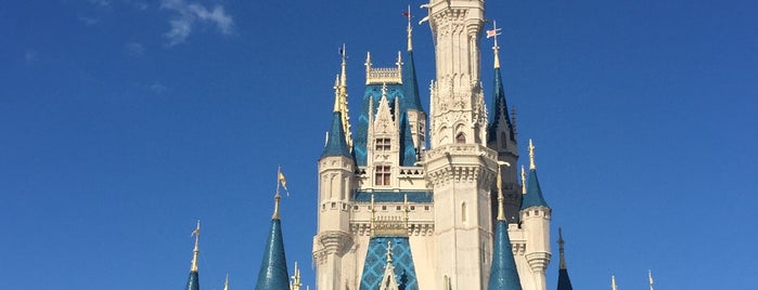 Cinderella Castle is one of Liz : понравившиеся места.