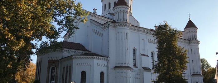 Dievo Motinos Ėmimo į Dangų katedra is one of Vilnius.