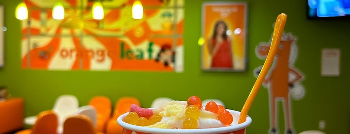 Orange Leaf Frozen Yogurt is one of Iowa/Illinois to do.