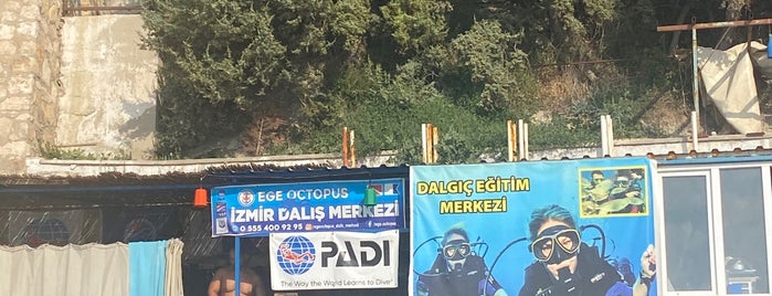 Ege Octopus Dalış Merkezi is one of Karaburun.