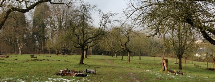 Parc Fond Roy is one of Posti che sono piaciuti a Charlotte.