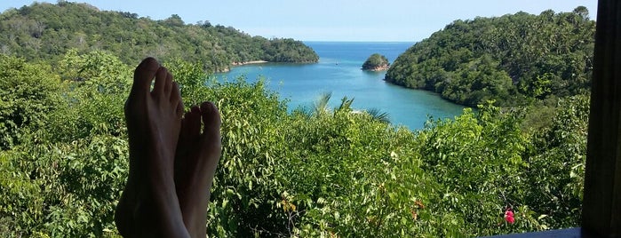 Divers Lodge Lembeh is one of Dive spots.