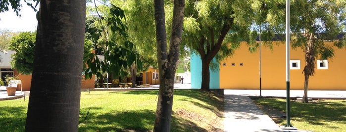 Facultad de Contabilidad y Administración de Tecomán is one of Campus Tecomán.