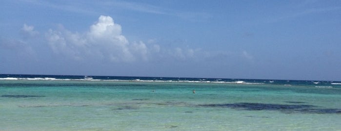 Playa De Majahual is one of Roxana's Saved Places.