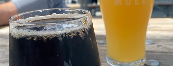 Beer Mule is one of Central Coast.