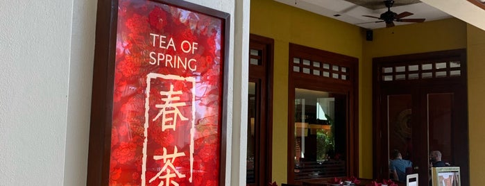 Tea of Spring is one of Fooood.