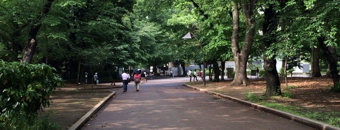 上野恩賜公園 is one of 25 Things to do in Tokyo.