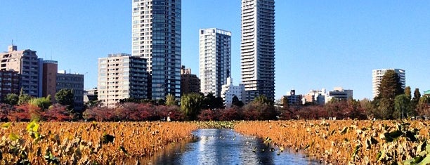 Shinobazu Pond is one of [To-do] Tokyo.
