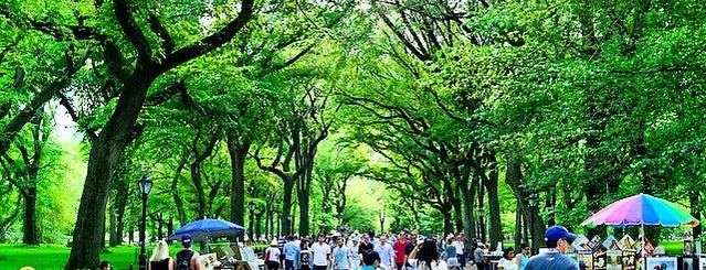 Центральный парк is one of Manhattan/Brooklyn.