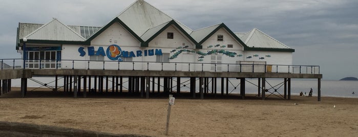 SeaQuarium is one of Weston-super-Mare.