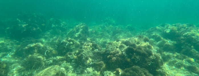 Fekruna Bay is one of Malta.