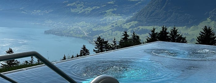 Hotel Villa Honegg is one of Switzerland.
