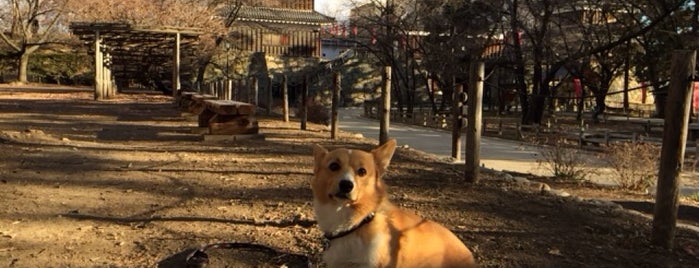 Ueda Castle Ruins is one of 東日本の町並み/Traditional Street Views in Eastern Japan.