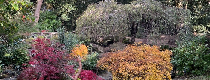 York House Gardens is one of The Great Trees of London.