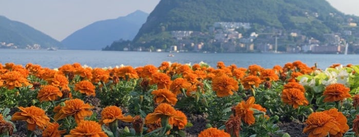 Ciani Lugano is one of Ticino.