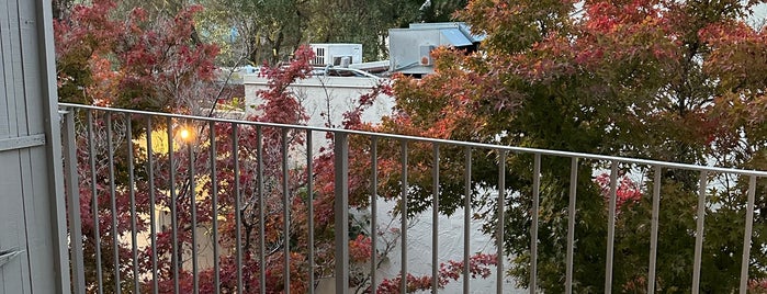 Sheraton Palo Alto Hotel is one of สถานที่ที่ Jess ถูกใจ.