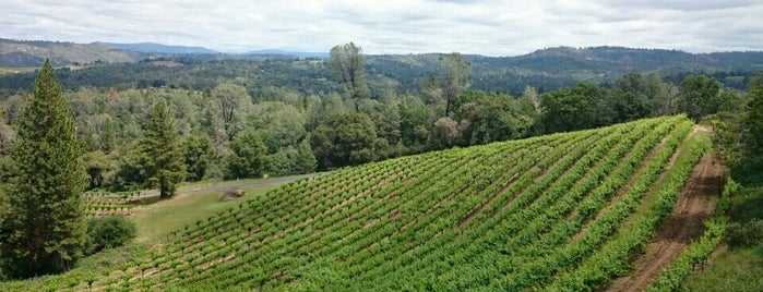 Fitzpatrick's Winery and Lodge is one of Wineries.