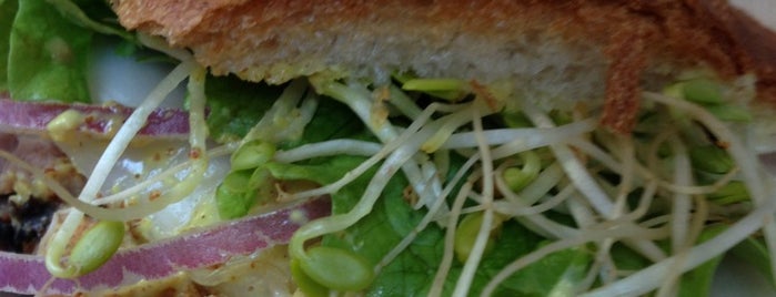 The Sandwich Company is one of Lunch options in the FiDi.