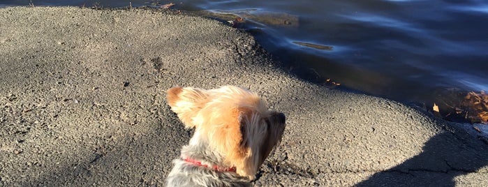 Warinanco Park is one of Quick hikes/trails.