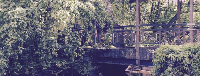 Stadspark is one of Natuur en bos.