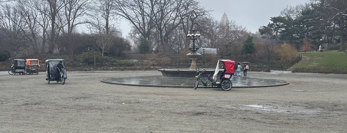 Cherry Hill Fountain is one of Central Park.