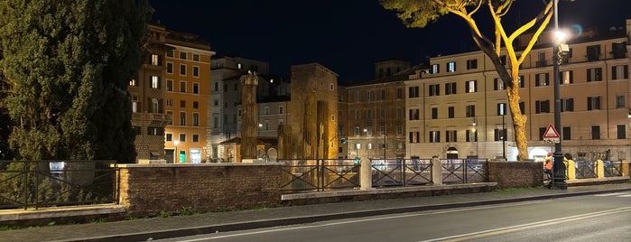 Largo di Torre Argentina is one of Marc's Saved Places.