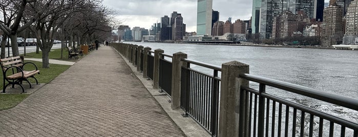 Cherry Tree Walk is one of My NYC Stomping Grounds.