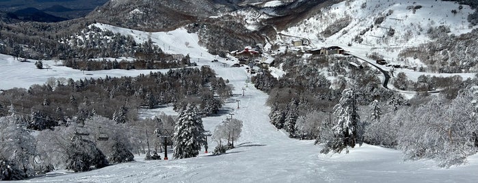 志賀高原熊の湯スキー場 is one of 滑ったところ.