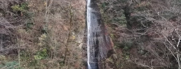 洒水の滝 is one of かながわ景勝50選.