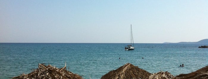 Foinikounta Beach is one of Lieux qui ont plu à George.