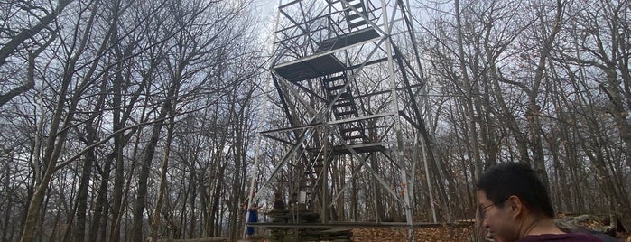 Mt. Tremper Fire Tower is one of NY Day Trip.