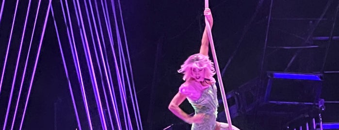 Cirque Du Soleil is one of The 13 Best Performing Arts Venues in Saint Petersburg.