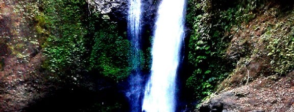 air terjun desa sekumpul is one of Бали.