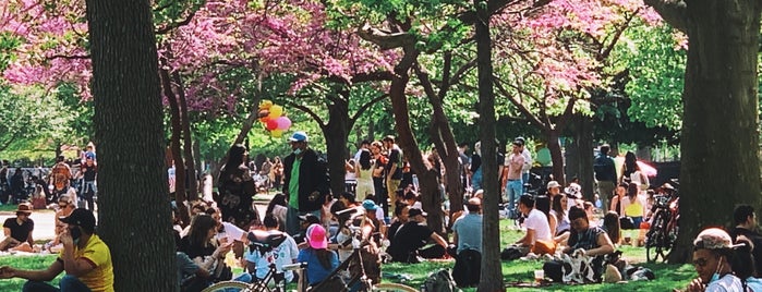 McCarren Park is one of New York City Parks Offering Free Wi-Fi.