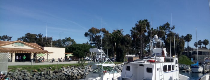 Seaforth Sportfishing is one of San Diego 10year.