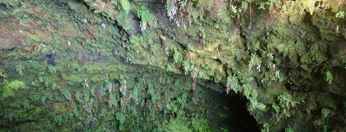 Kilauea Caverns of Fire (Lava Tube Tours) is one of Hawaii.