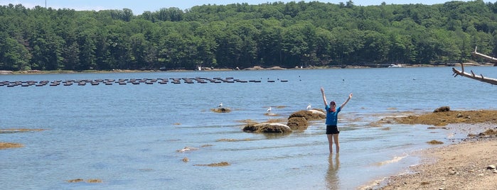 Dodge Point is one of Maine.