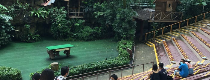 Pools Amphitheatre is one of Singapur #3 🌴.